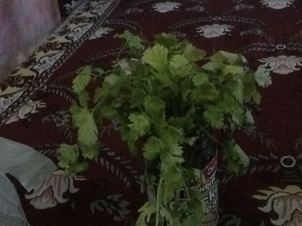 Still fresh after 3 days ;-)