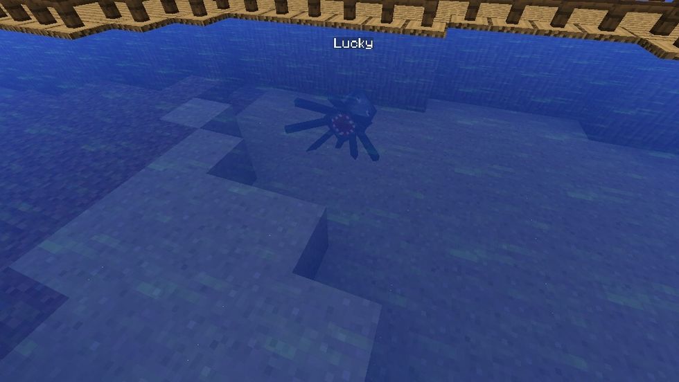 Still my squid (the glitch is real and I will make a guide on how to name tag mobs)