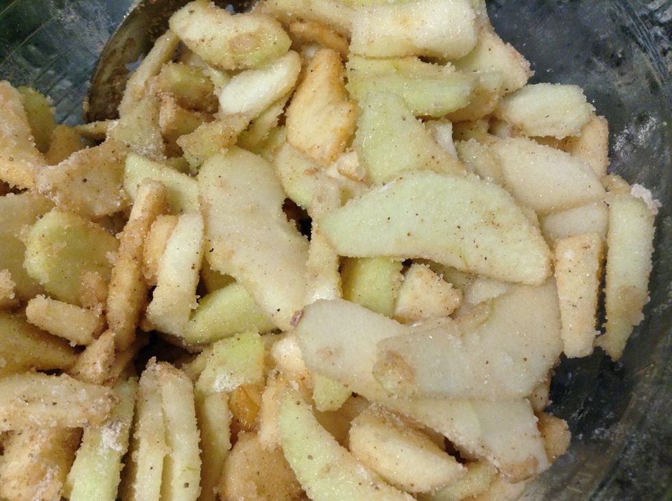 Stir apples and spices together and set aside.