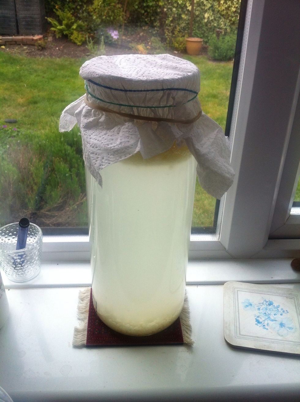 Stir daily or leave to stand for 4-5 days. Stand container in a warm place AWAY FROM DIRECT SUNLIGHT. DO NOT SEAL, but cover with paper kitchen roll or muslin to protect from unwanted intruders!