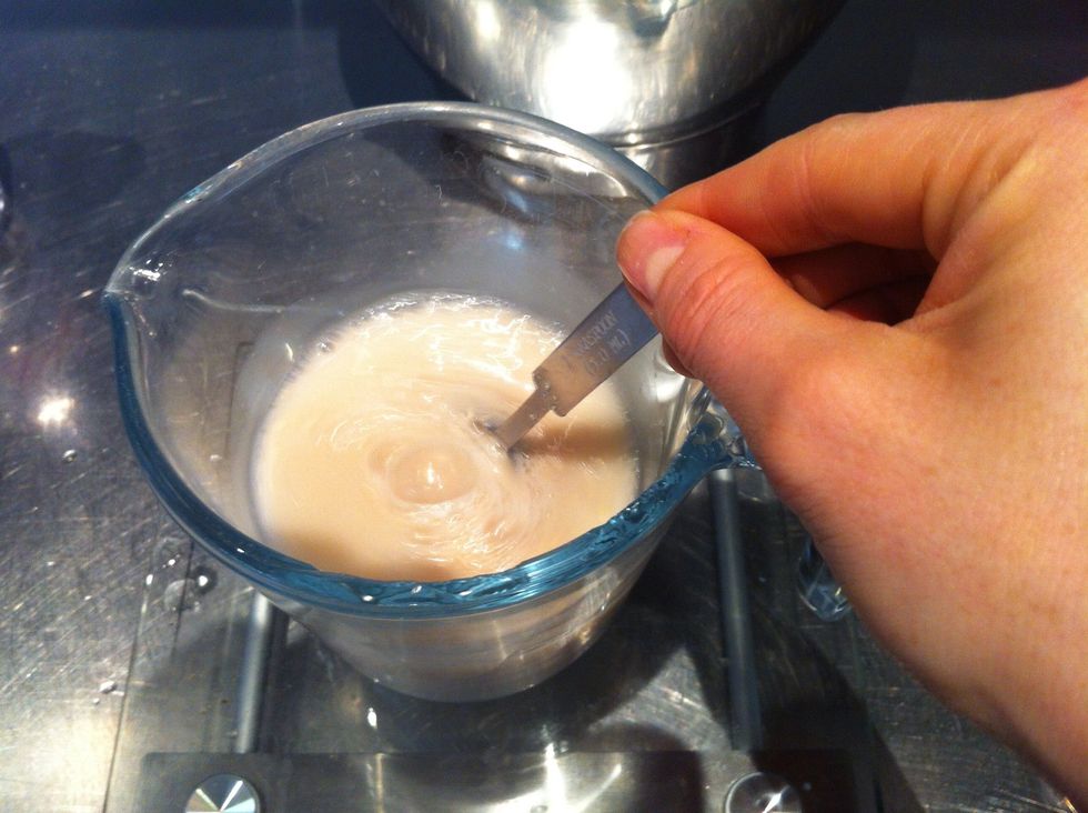 Stir in yeast allow to sit for a couple mins to dissolve completely.