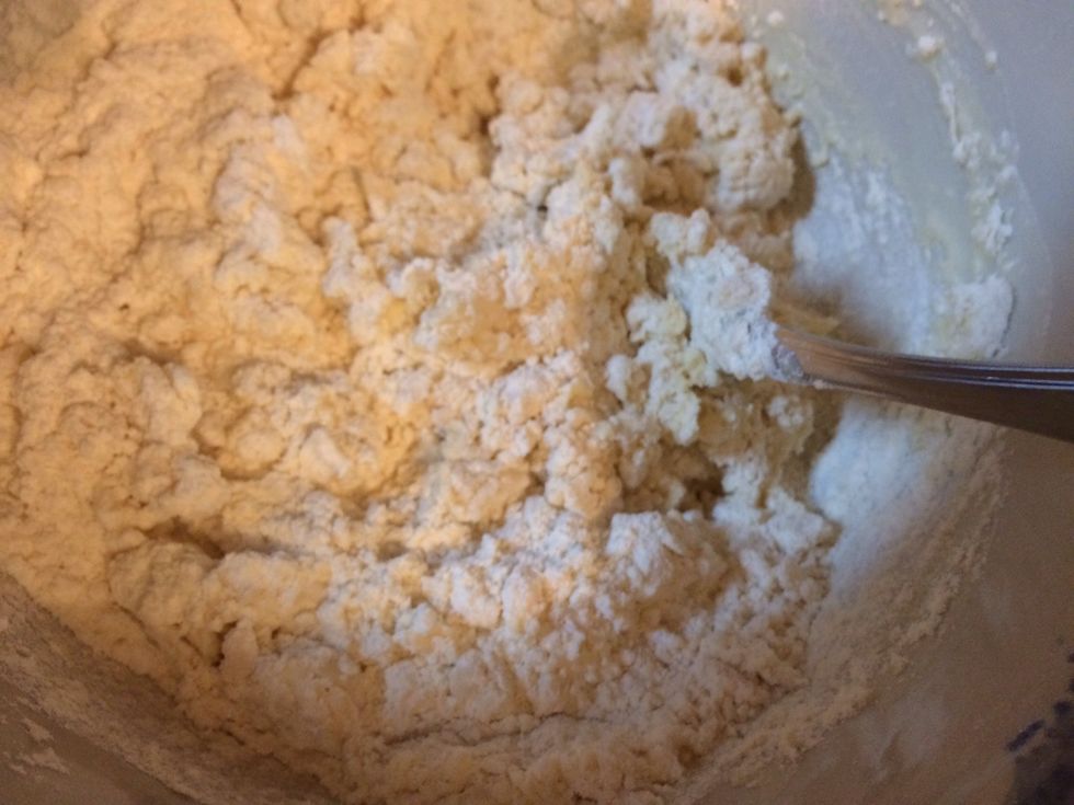 Stir until all flour is moist. It will start out like this. Depending on the weather you may need more to get all to come together.