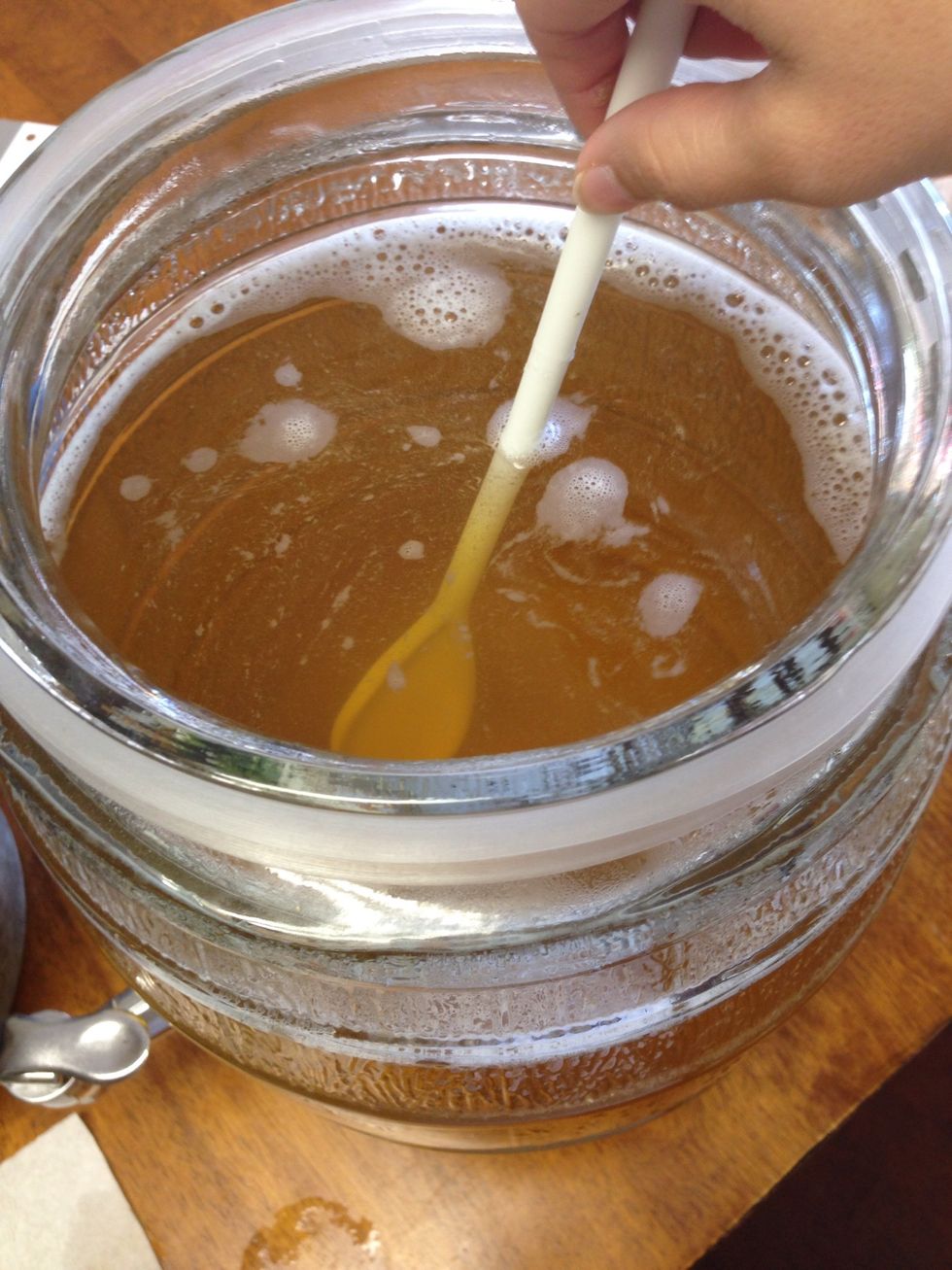 Stir until the sugar had dissolved. The water should just be a little warm now. I use a plastic ladle cause sometimes wooden ones leak a woody flavor into the water.