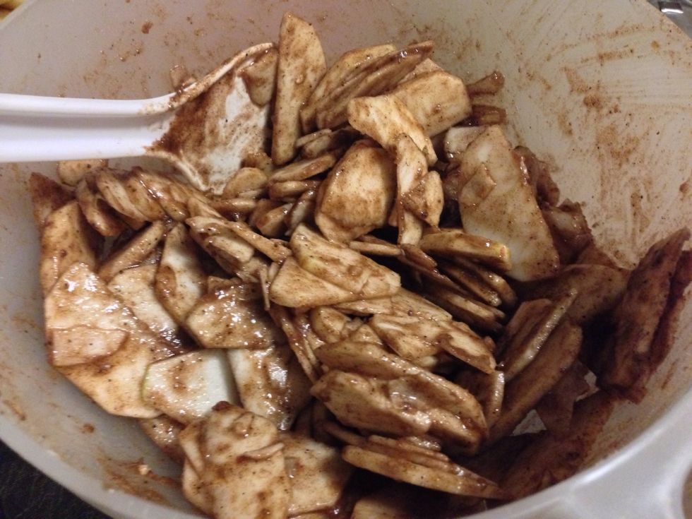 Stir with a wide edge spoon until fully mixed. There should be no dry powder anywhere in the bowl.