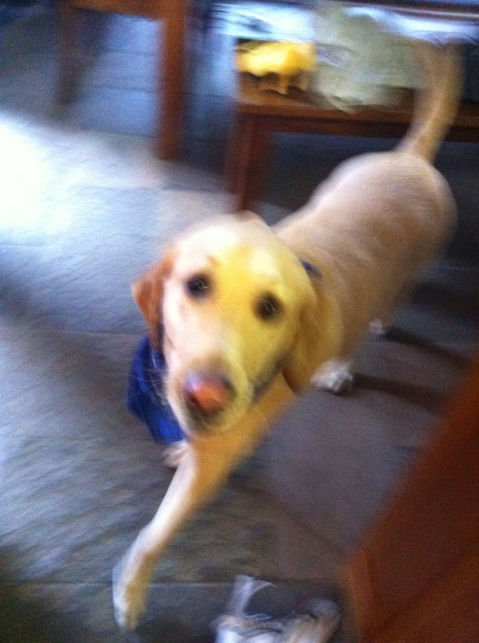 Stirring grits endlessly can feel monotonous, so some company during the endeavor is highly suggested.