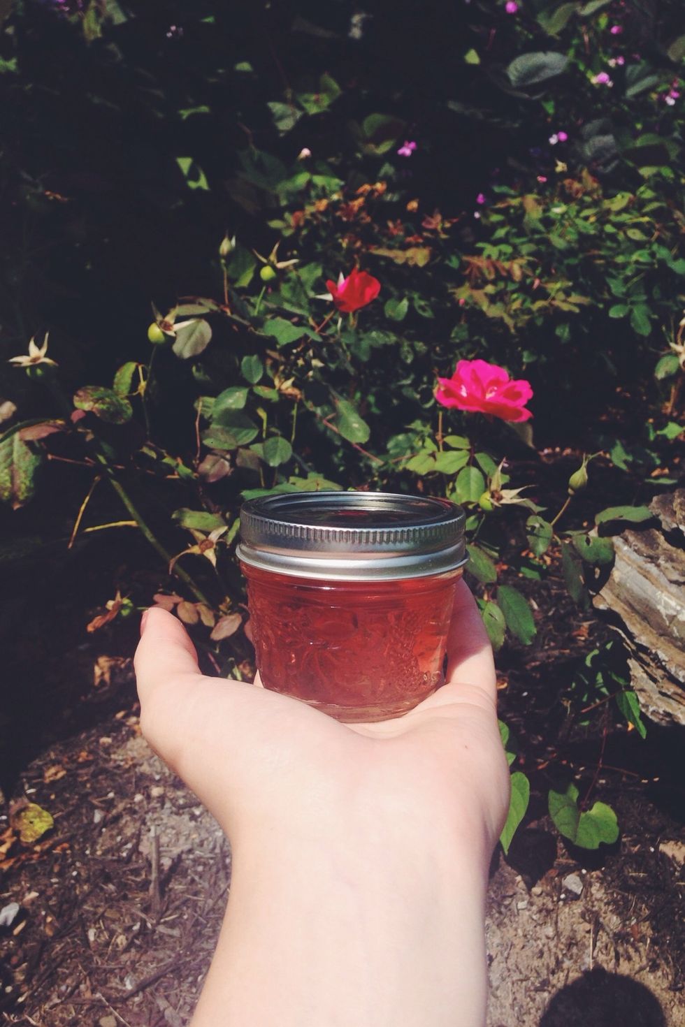 Strain the rose water to remove the petals, and store covered in a cool place. Enjoy!