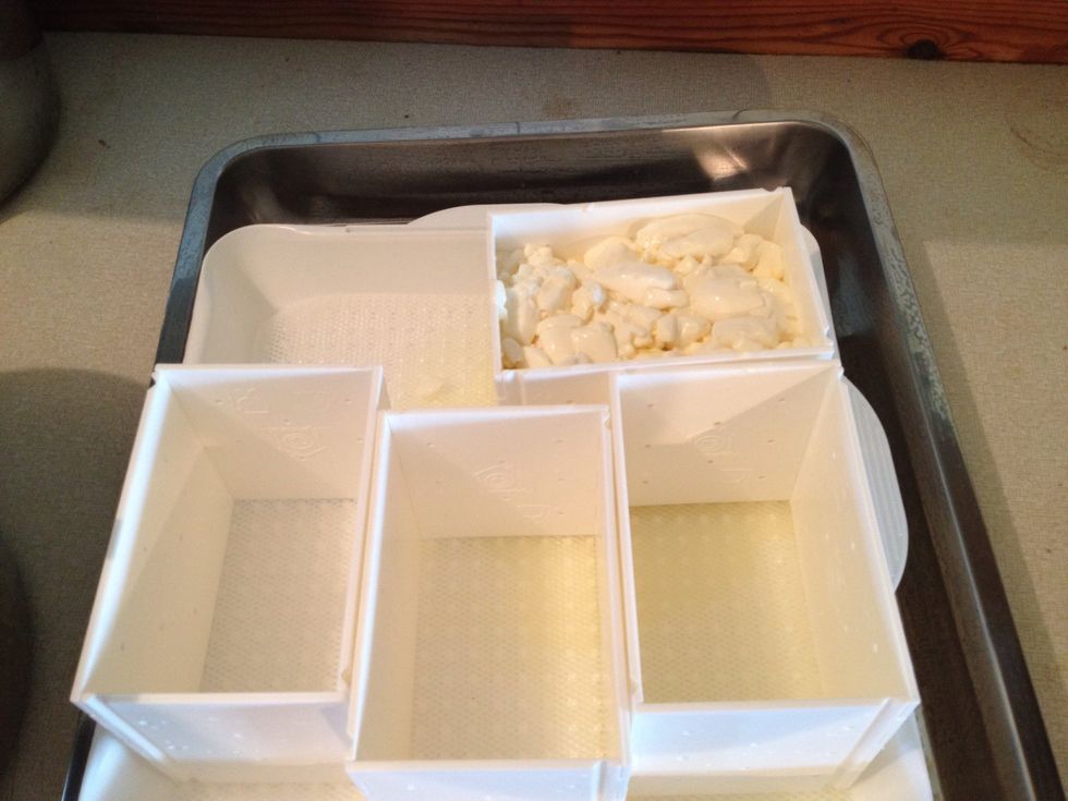 Strain your cheese from the whey using your skimmer or a sterilised colander. Pour the cheese into your moulds and let it sit for 24 hours. Pour whey off and turn occasionally, in the beginning often.
