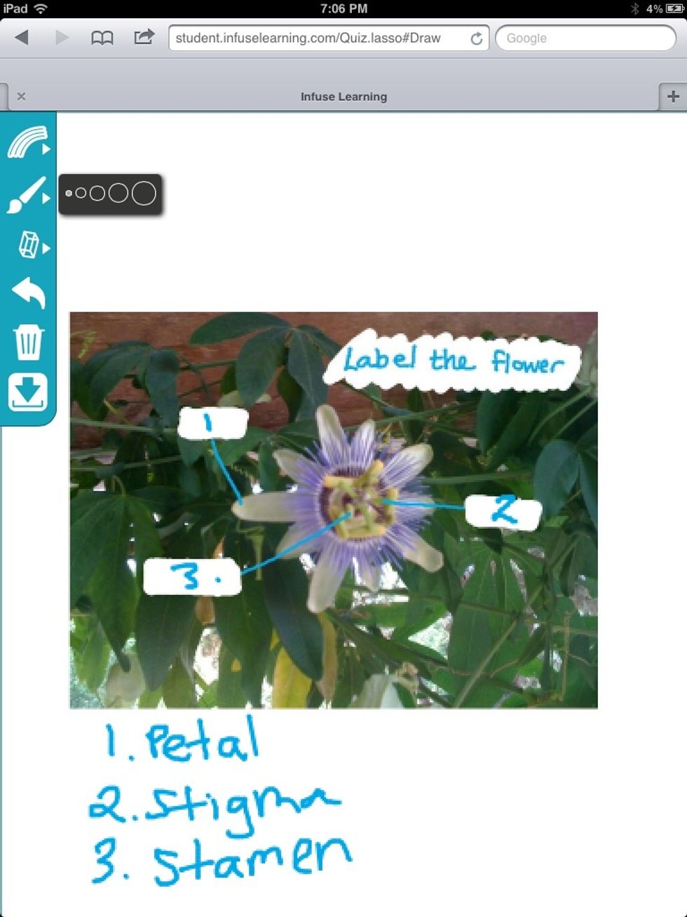 Student View: Students can use InfuseDraw tools to demonstrate thinking and learning and submit response.