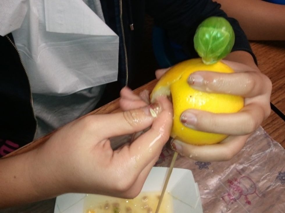 Students use their fingers to remove as much of the juice and pulp as possible.  Students who have cuts or are squeamish about getting sticky may want to wear food service gloves if you have them.