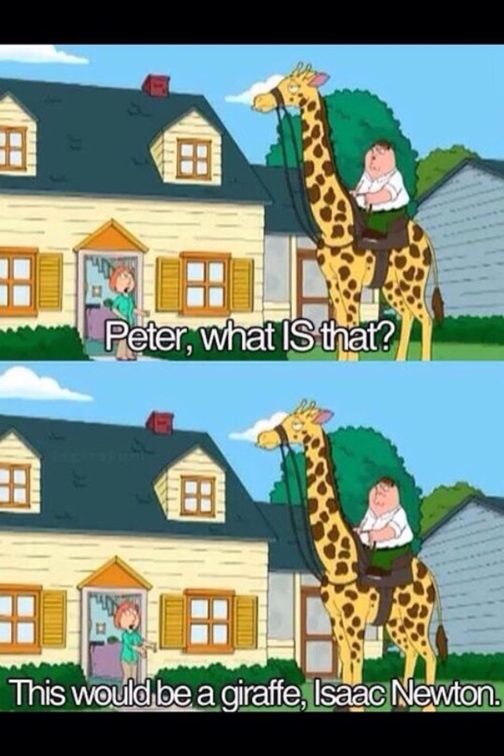 Success is having a sense of humor