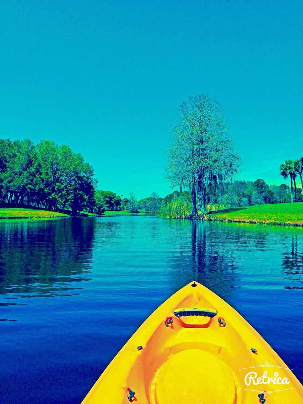 Success is in the eye of the beholder...... How will you achieve success?