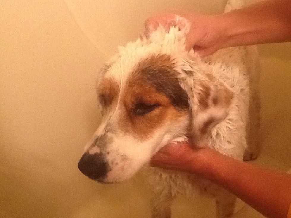 Suds him up!