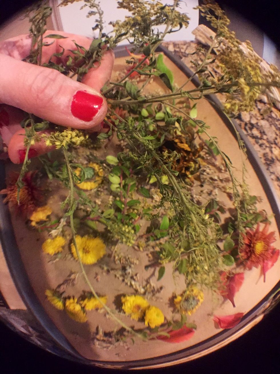 Super important to use green stem plans, like Lemon Grass or Lemon Verbena, Thyme EtC.