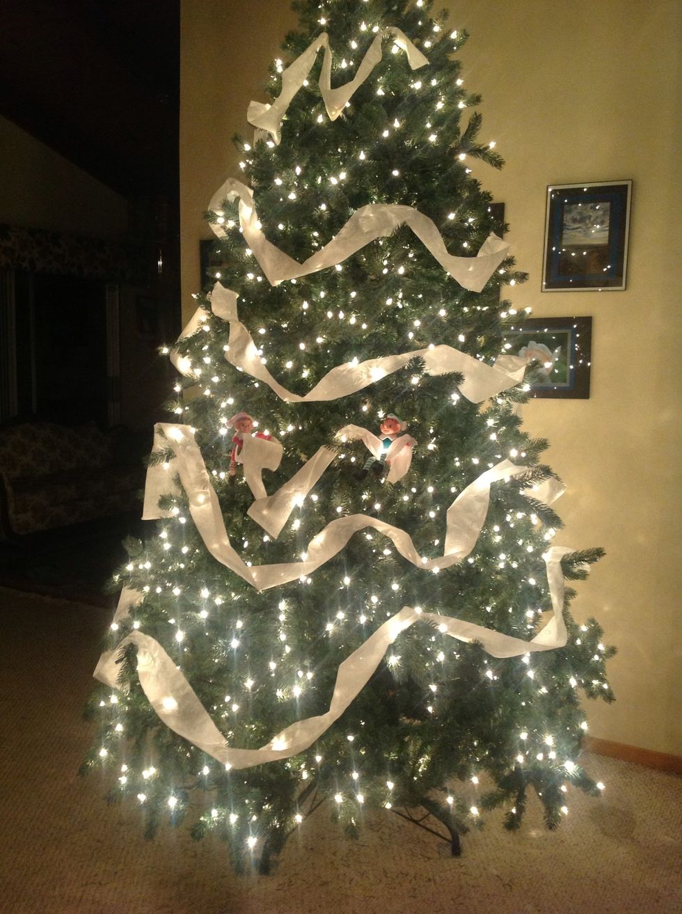 T.P'ing the tree....