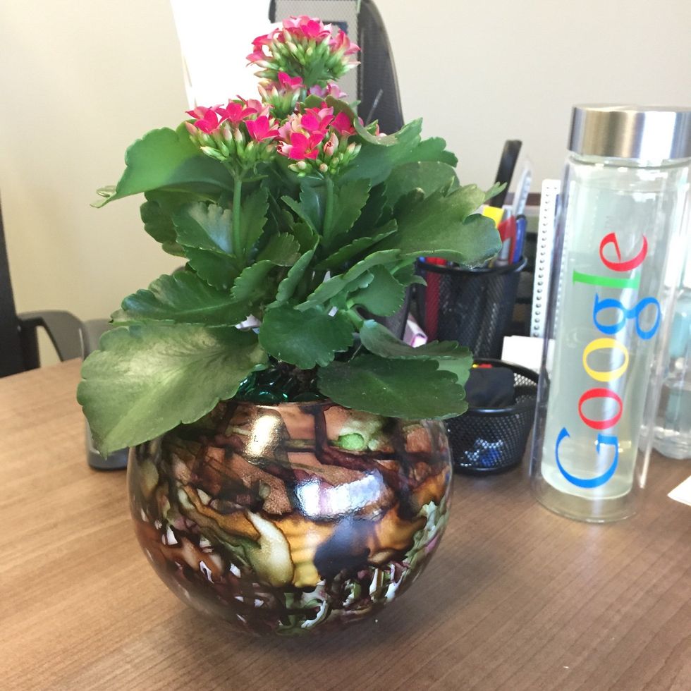 Ta-da! A pretty new plant for my office. I planted a Kalanchoe, a succulent flowering plant which does not require much care and only needs water when dry.