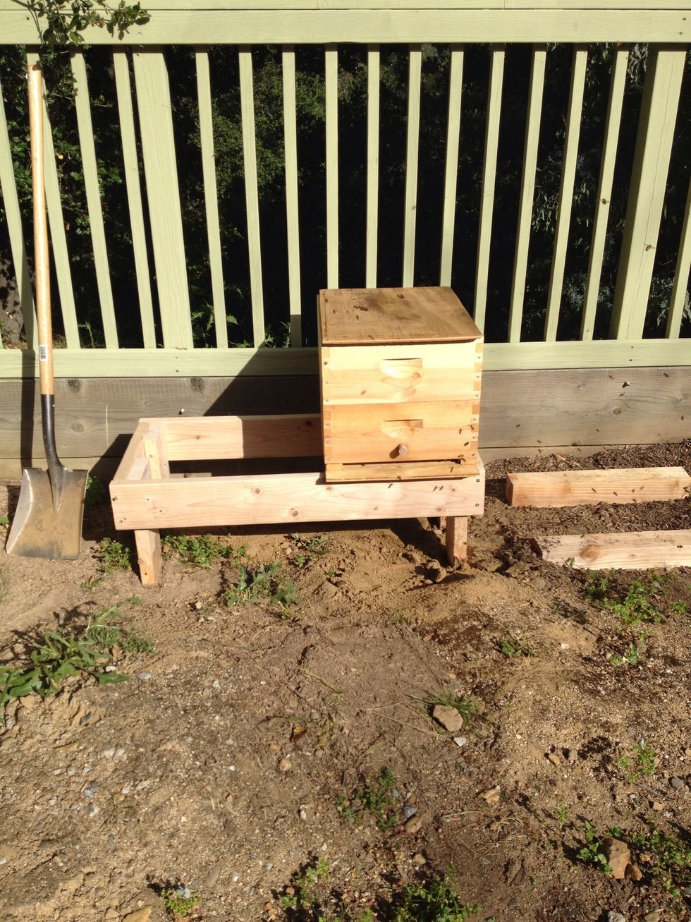 Ta dah!!! Remember: don't move the hive any more than 2' at any one time, else it must be moved a minimum of 2 miles. The little bees must reset their GPSs and Google Maps they are not!
