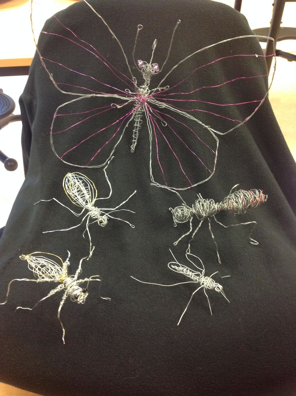 Ta en bild p\u00e5 din insekt.