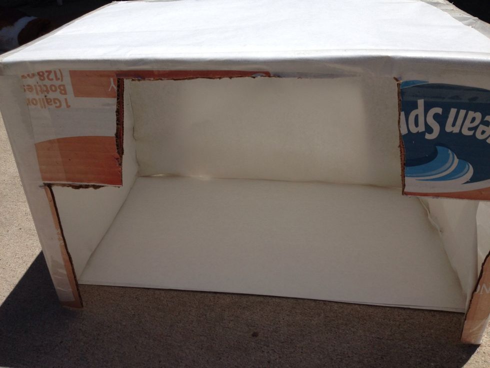 Tada!  Examples to follow. (All photos are untouched, RAW images)