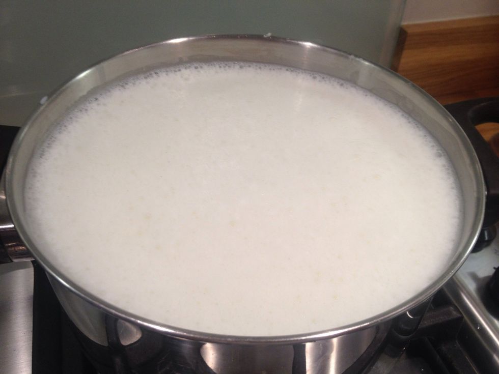 Take 4 pints (~2 litres) of milk. Whole milk works best. It also doesn't matter if it is turning slightly sour so a great way to use up milk.