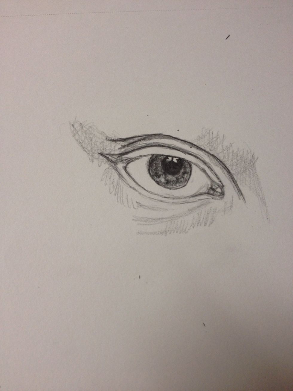 Take a .5 lead pencil and VERY lightly create areas where you will shade. This will be the lids, and brow bone. As well as the bottom eyelid crease.