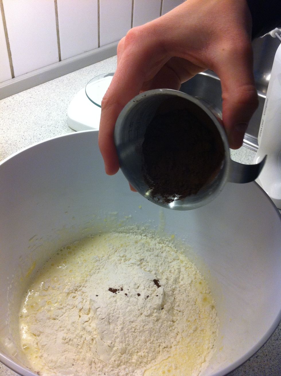 Take a half cup of cacao