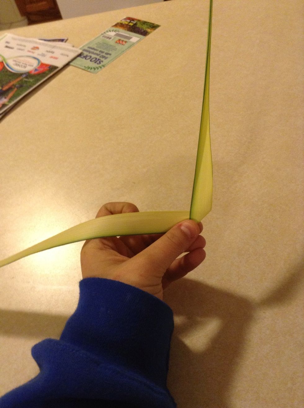 Take a little more than 1/2 length of the palm (the small side) and fold it up across the bigger part .