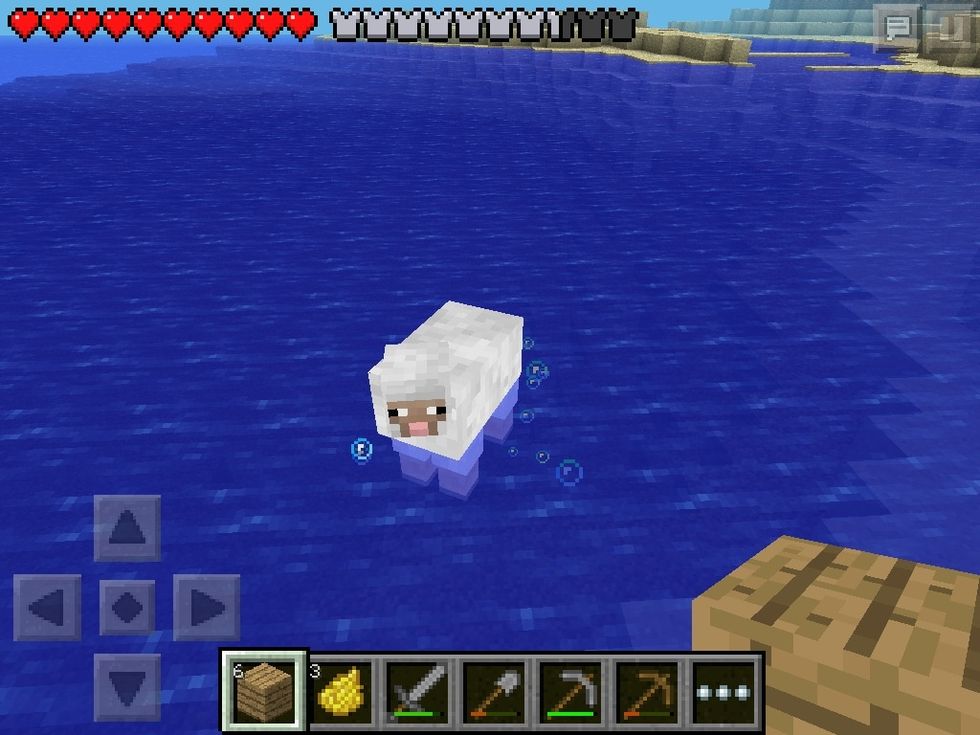 Take a normal white sheep.