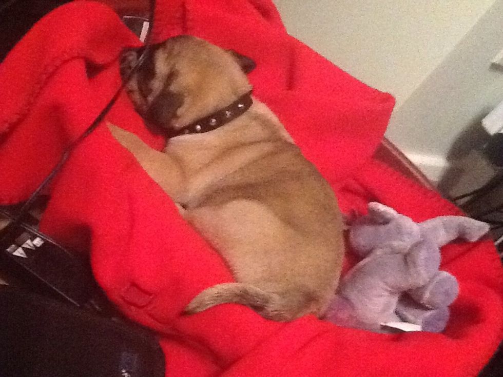 Take a pet to sleep with you. Pets usually calm you. Pet your bed to sleep first, then tuck in next to them!