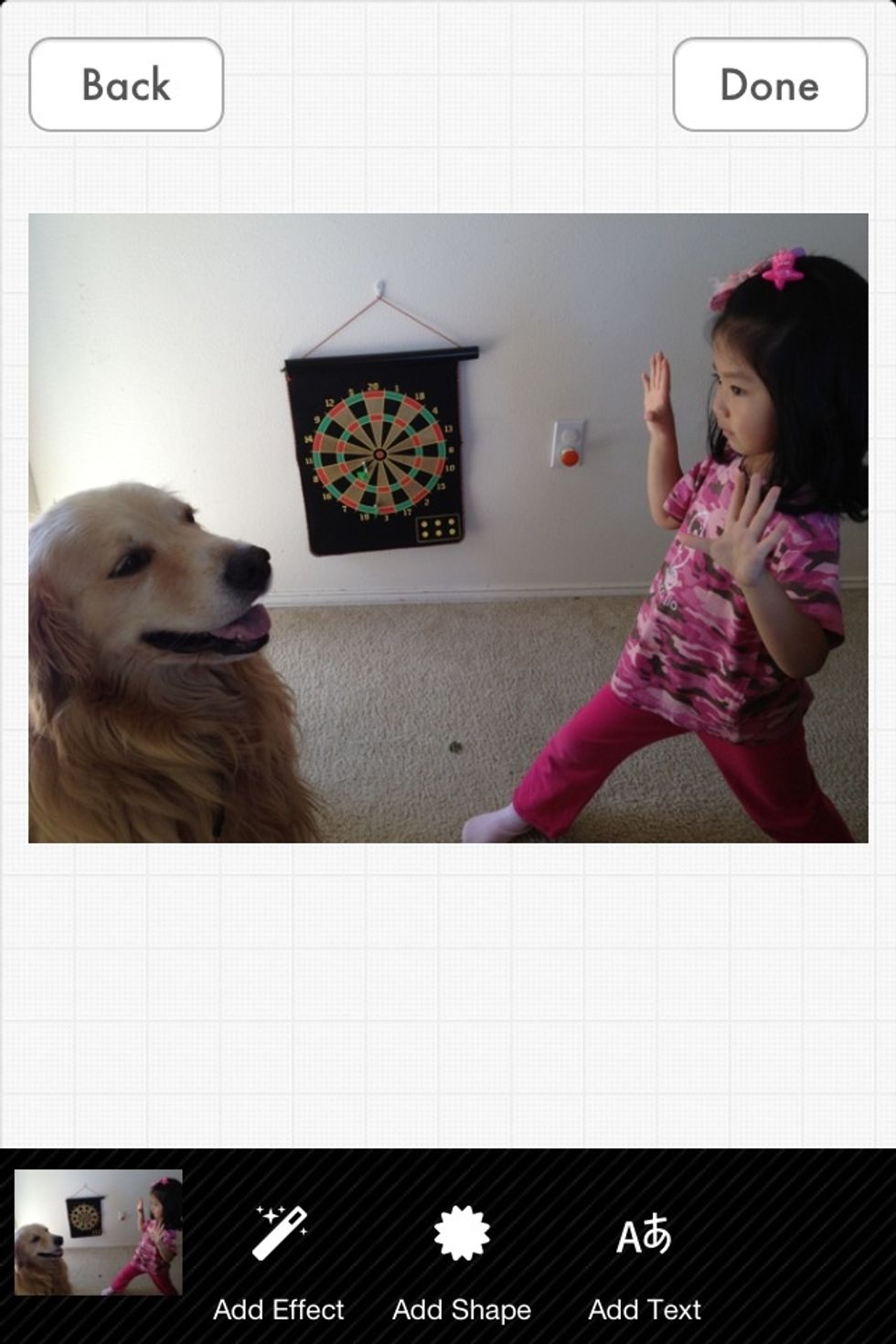 Take a photo with your kids and pets in a magician pose. Here is one example.