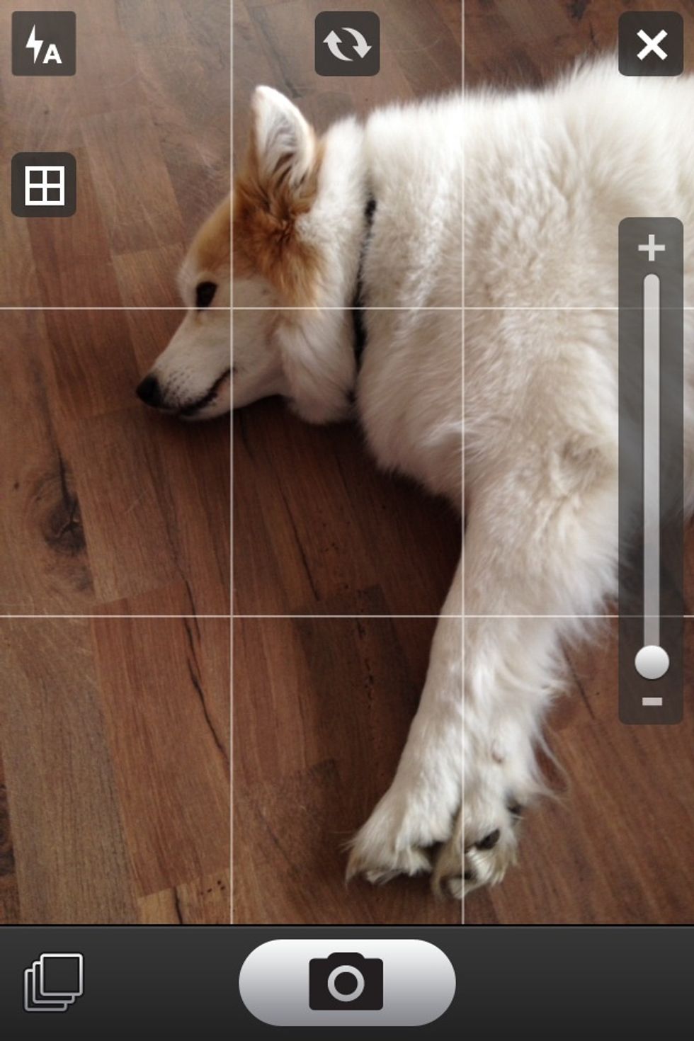 Take a photo