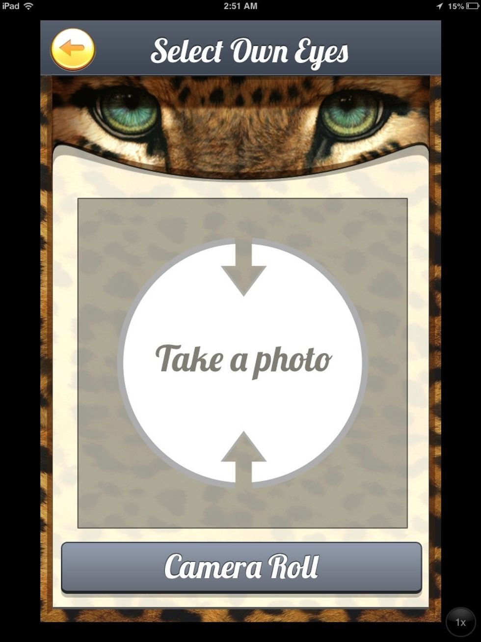 Take a picture of your eyes or choose one from camera roll.