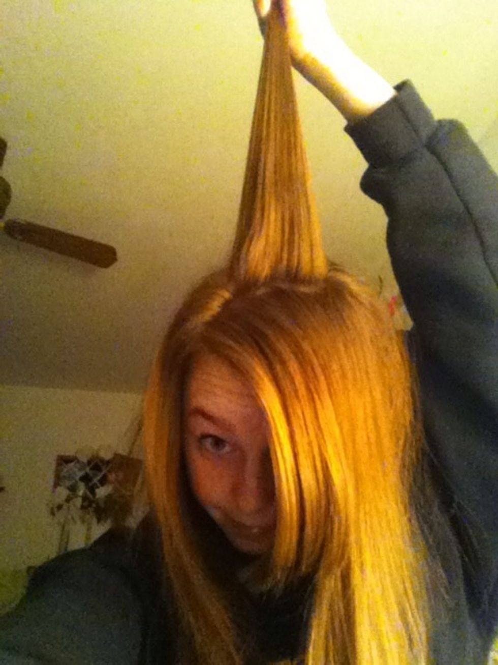 Take a piece of your hair by your crown and tease it