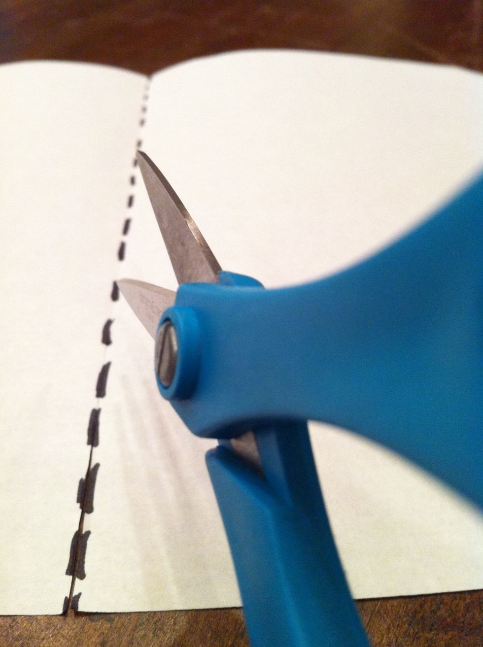 Take a sheet of paper and fold it in half, then cut (or rip) along the middle of the paper, creating two halves.