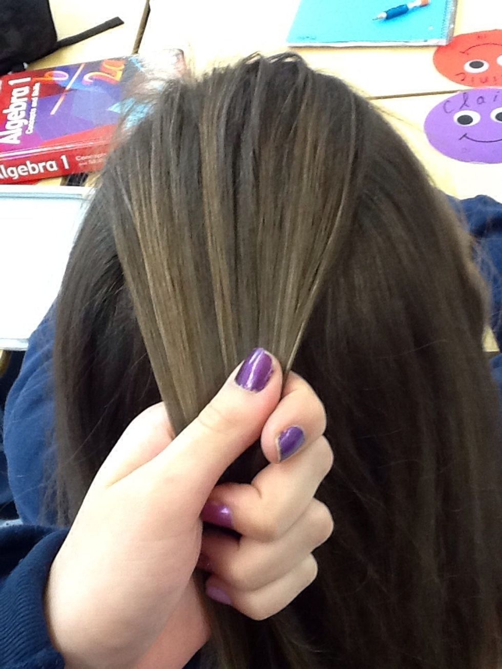 Take a small section from the top of the head