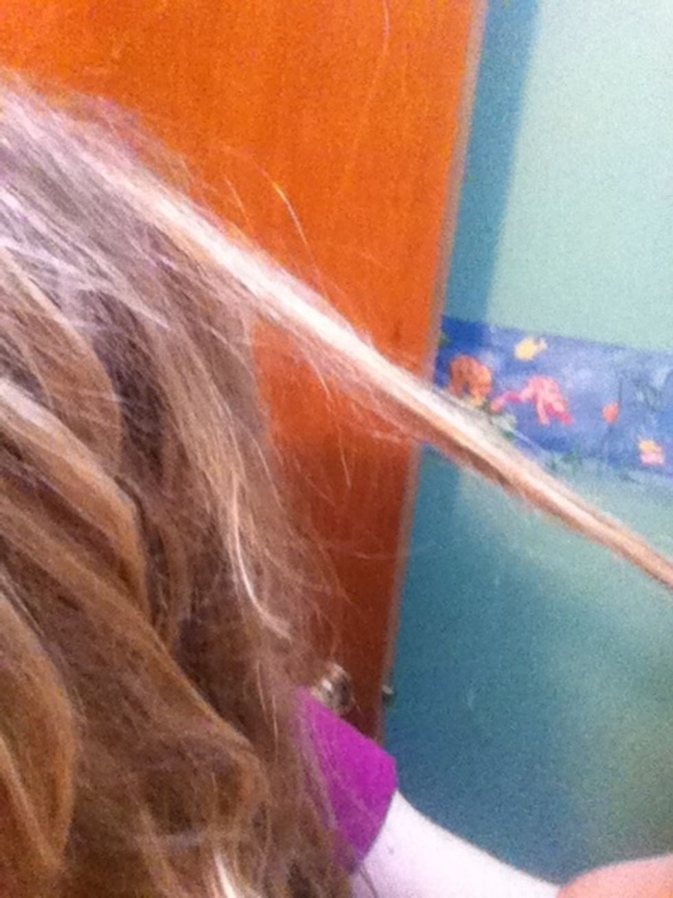 Take a small section of hair