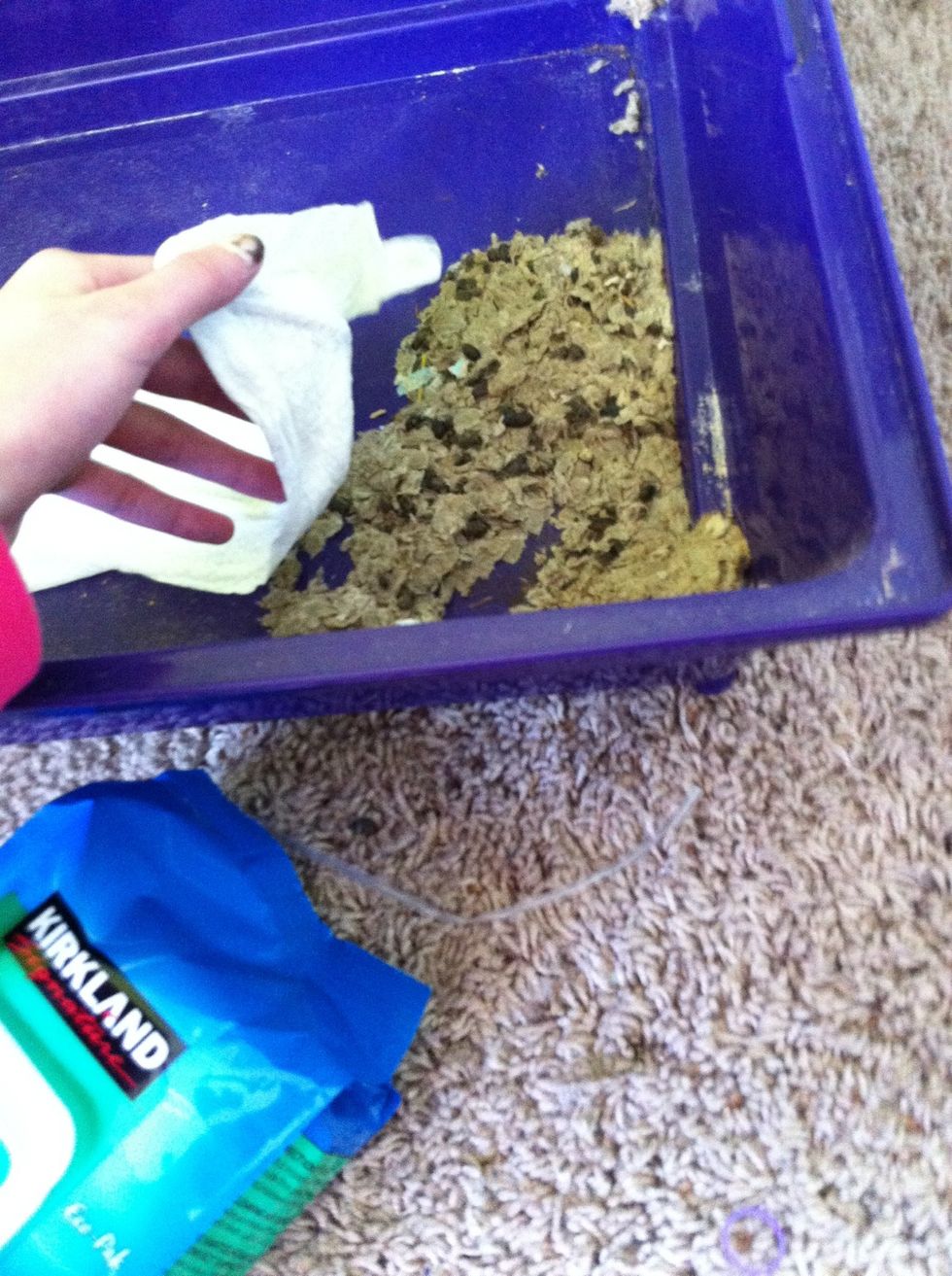 Take a wipe and wipe it out