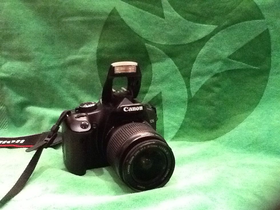 Take after pictures. We recommend taking them immediately after, at 24, 48, and 72 hours after. To see some amazing before and after pictures visit http://www.bodywrapcraze.com/is-this-magic.html.