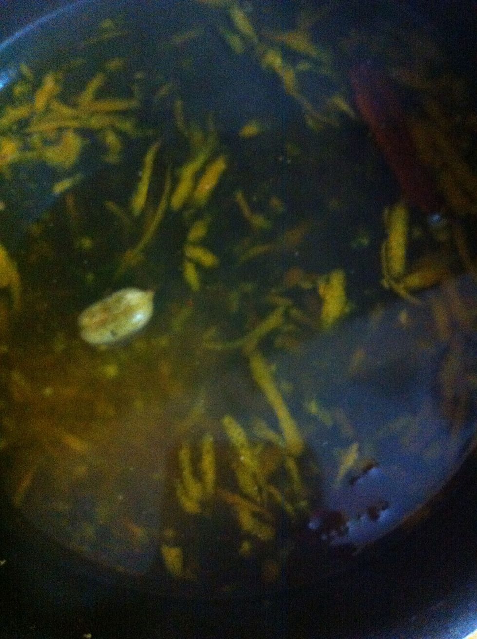 Take an orange and grate its peel to get the zest. Add it in the syrup. Add the cinnamon stick too. It'll take about 10 minutes to get done