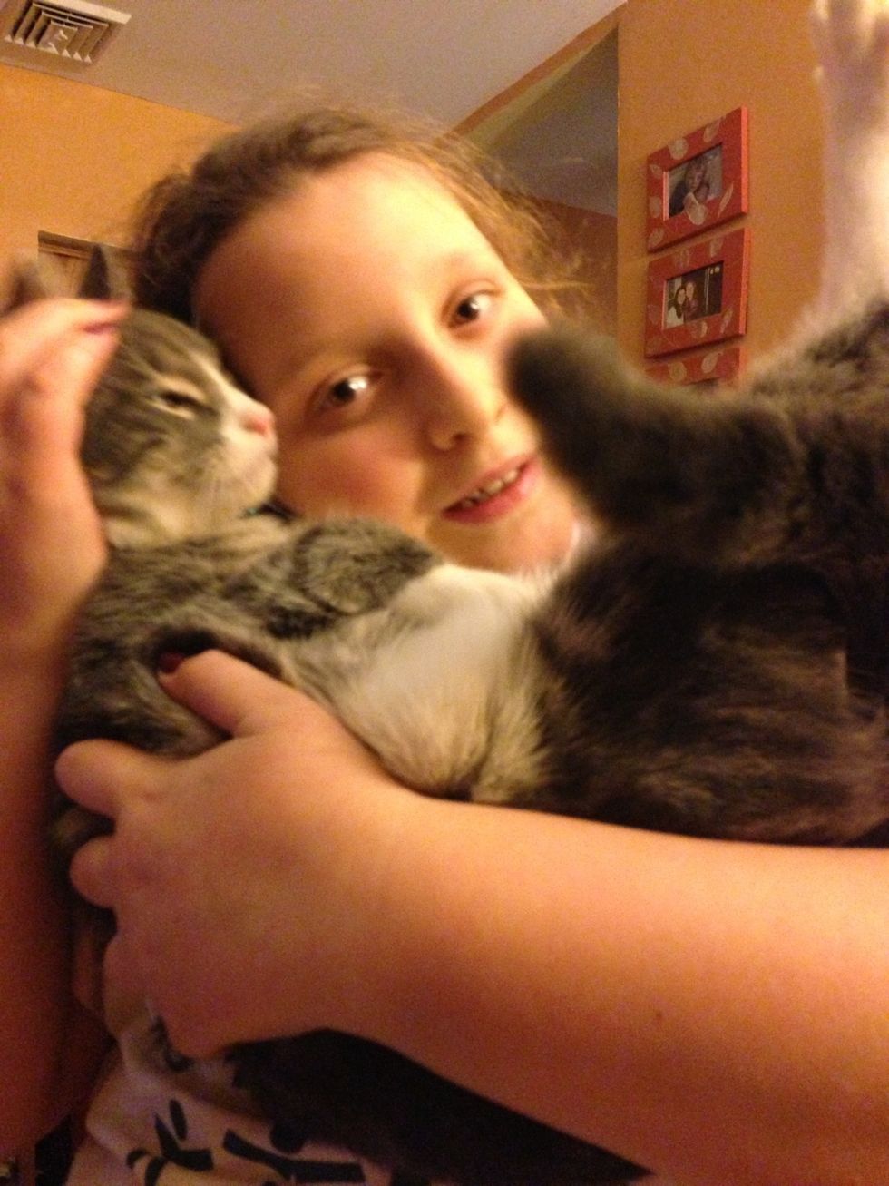 Take another kitty break!