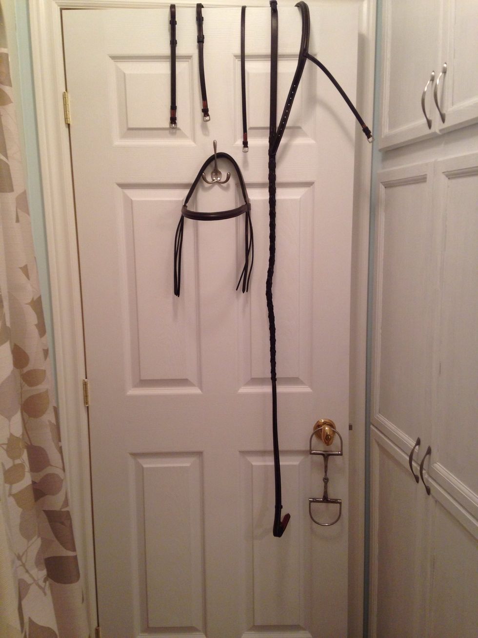 Take apart your whole bridle