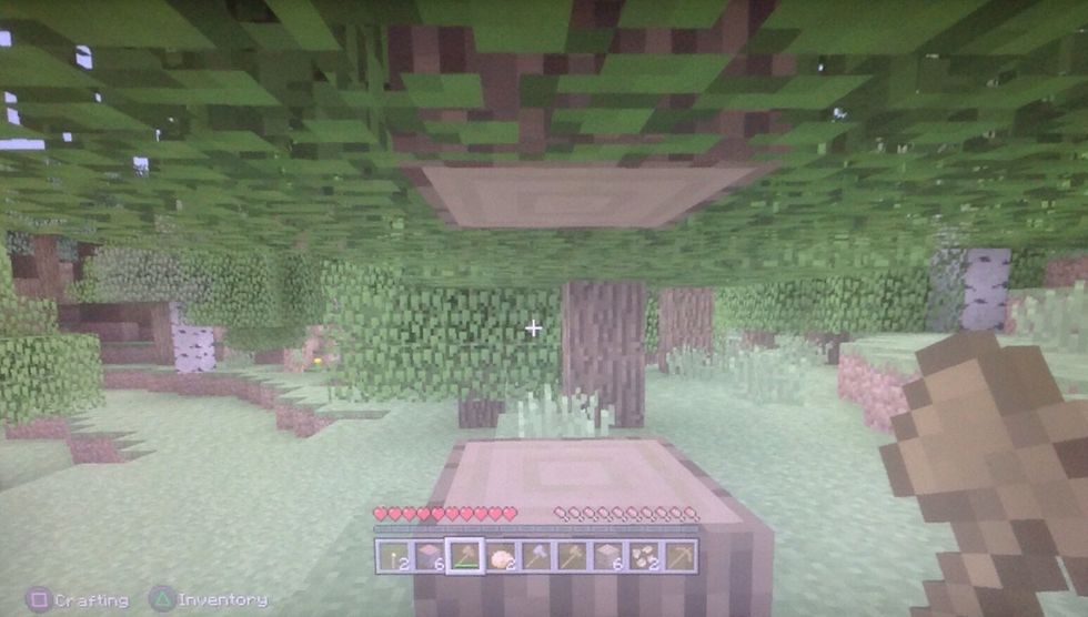 Take as much wood as you think you'll need. The more you have the better off you'll be. Remember to replant tree with the saplings it drops. You don't want a polluted world.