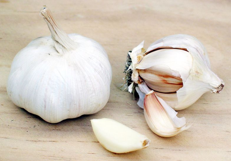 https://guides.brit.co/media-library/take-garlic.jpg?id=24129801&width=784&quality=85