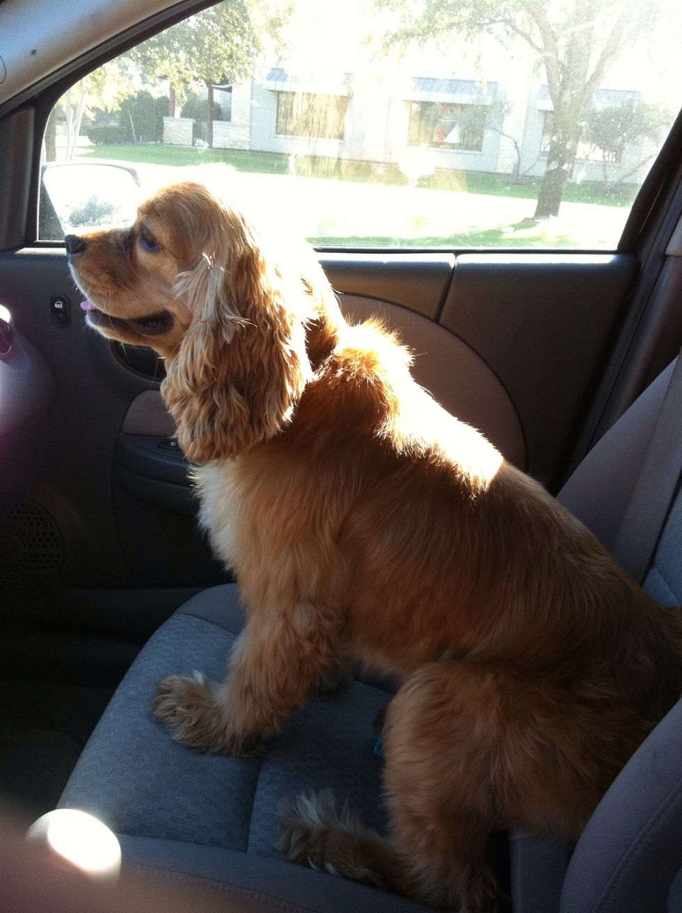 Take him for adventures.