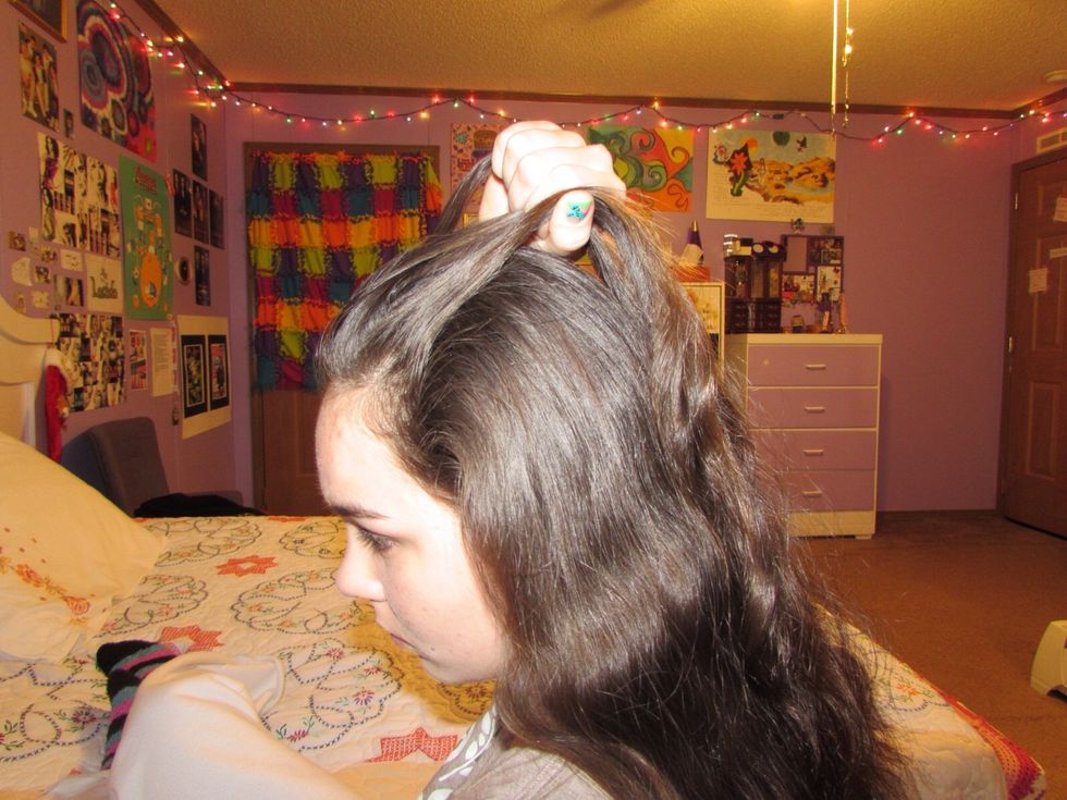 Take in hair from the left side. (I start on the left because I am left handed.)