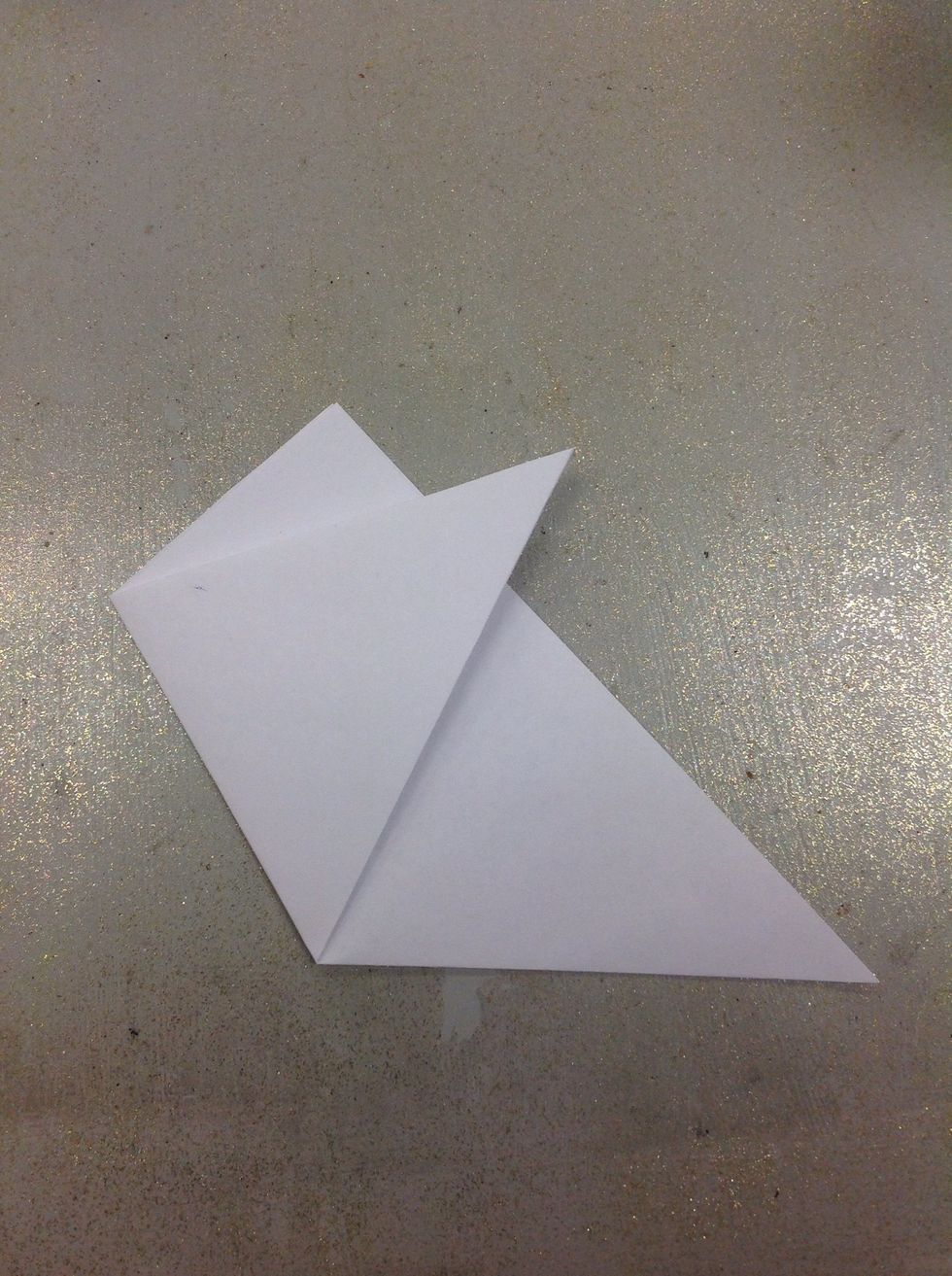 Take one of the corners and fold it over. Then, repeat with the other corner.