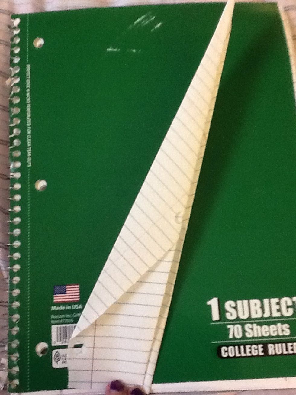 Take one side and folded it down till the pointed side touches the bottom of the paper.