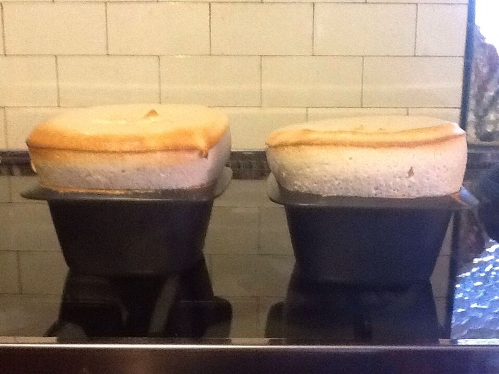 Take out of oven and eat strait away. Enjoy.