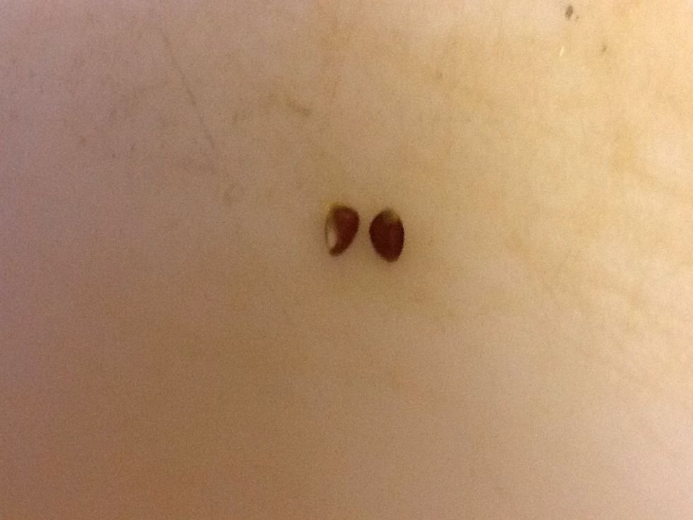 Take out two seeds