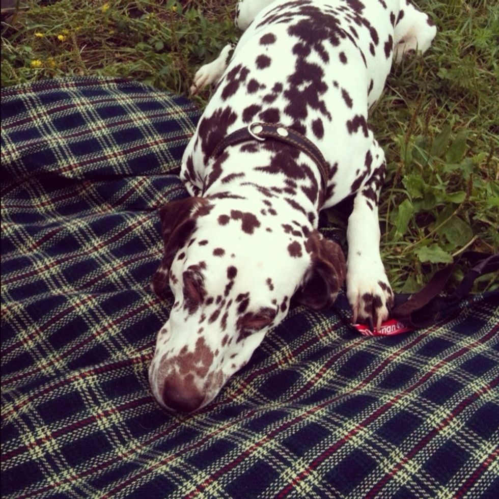 Take part in as many movies as you can but choose your roles wisely. And one day you will fall asleep...