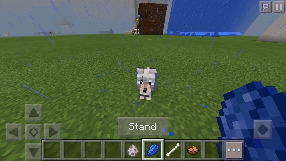 How to tame a wolf and color its collar on minecraft B+C Guides